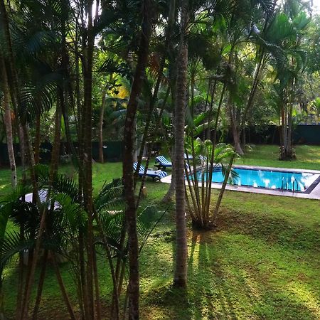 Chandra Villa - LEVEL 1 CERTIFIED Bentota Exteriör bild